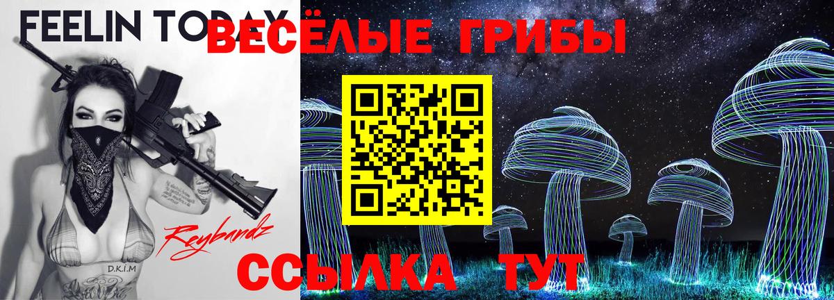 Галлюциногенные грибы мухоморы  Вход с VPN  Галлюциногенные грибы GOLDEN TEACHER  Иркутск 